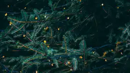 Watch and Download Christmas Lights 1