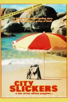 Watch and Download City Slickers: A tale of two African penguins