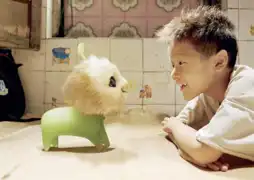 Watch and Download CJ7 11