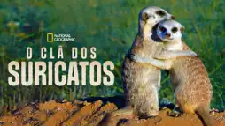 Watch and Download Clan of the Meerkat 3