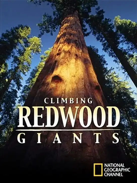 Watch and Download Climbing Redwood Giants 1