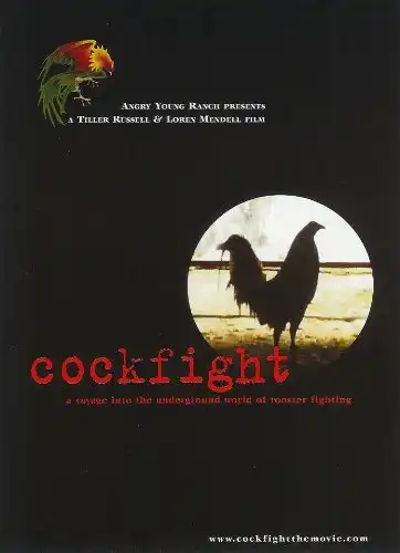 Watch and Download Cockfight 1