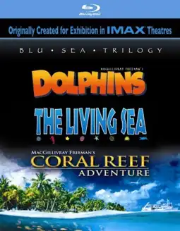 Watch and Download Coral Reef Adventure 6