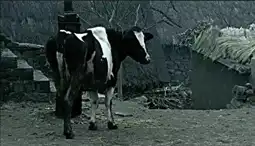 Watch and Download Cow 6