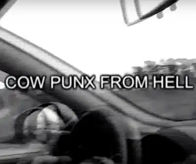 Watch and Download Cowpunx from Hell 2