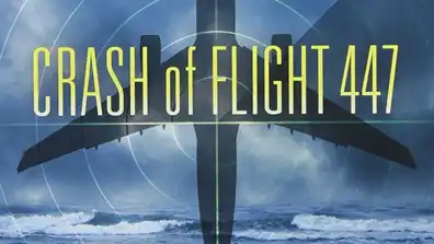 Watch and Download Crash of Flight 447 1