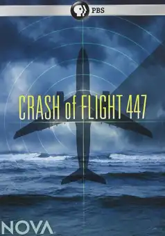 Watch and Download Crash of Flight 447