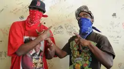 Watch and Download Crips and Bloods: Made in America 3