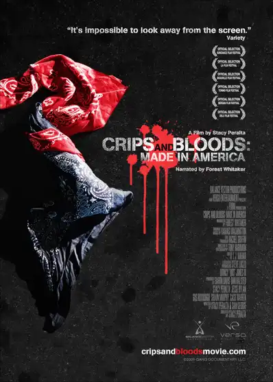 Watch and Download Crips and Bloods: Made in America 4