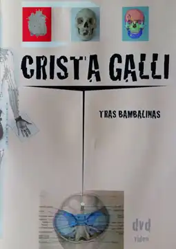 Watch and Download Crista Galli: Tras Bambalinas 1