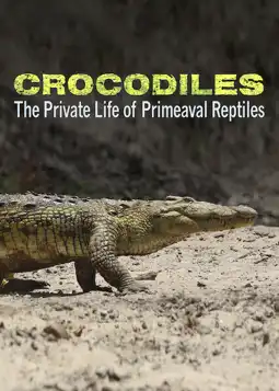 Watch and Download Crocodiles - The Private Life of Primeaval Reptiles 3