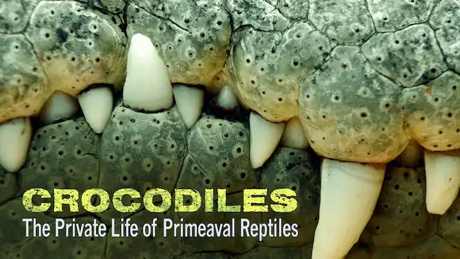 Watch and Download Crocodiles - The Private Life of Primeaval Reptiles 4