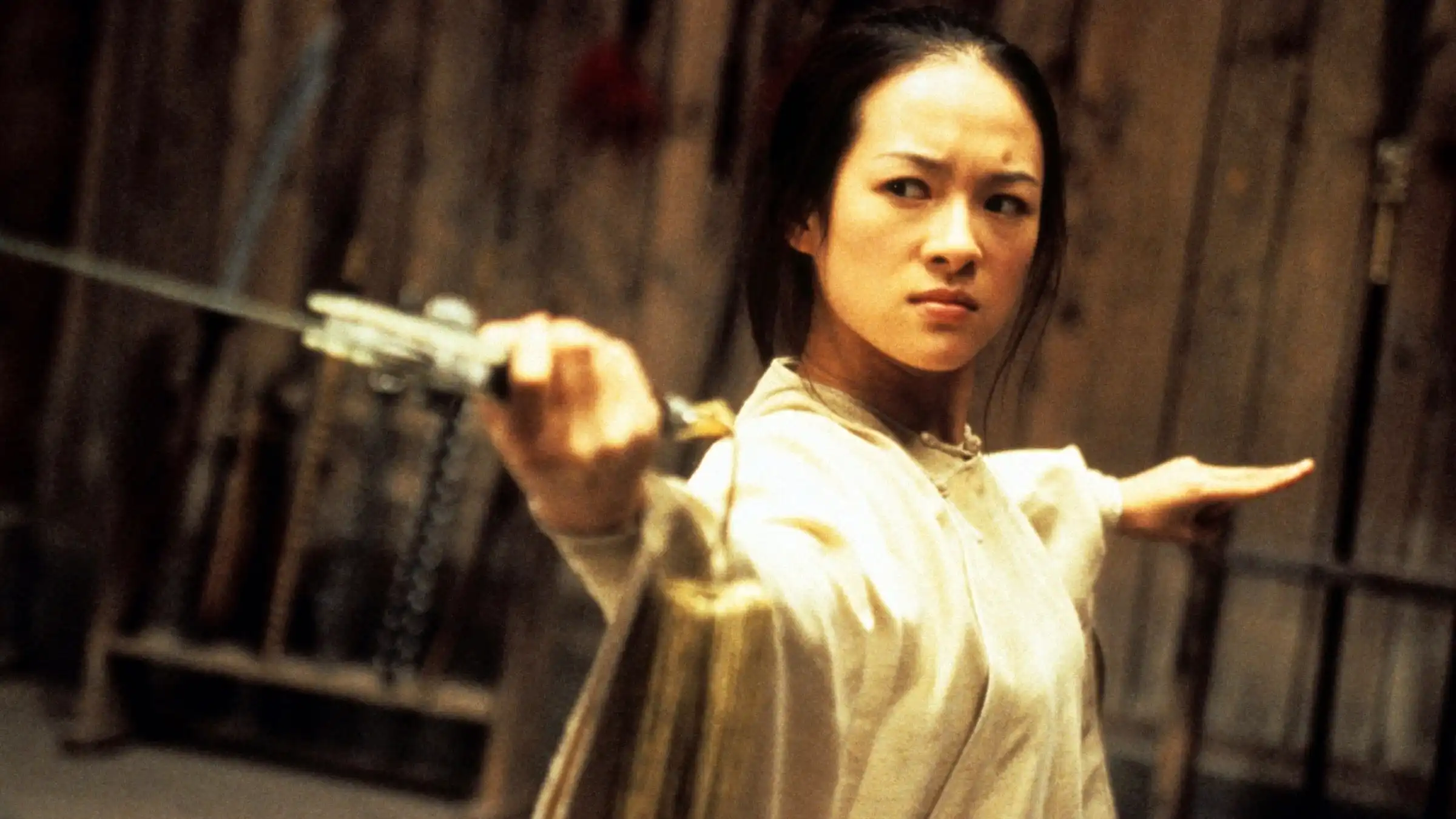 Watch and Download Crouching Tiger, Hidden Dragon 1