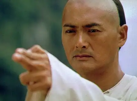 Watch and Download Crouching Tiger, Hidden Dragon 16