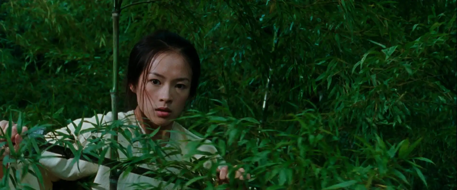 Watch and Download Crouching Tiger, Hidden Dragon 4