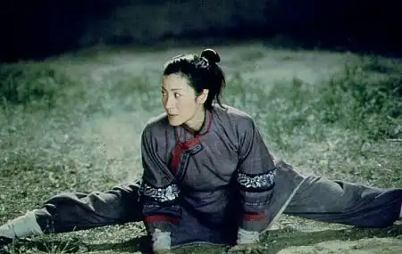 Watch and Download Crouching Tiger, Hidden Dragon 8