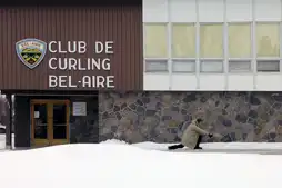 Watch and Download Curling 8