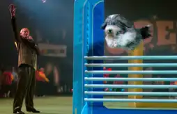 Watch and Download Daniel and the Superdogs 6