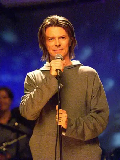 Watch and Download David Bowie: VH1 Storytellers 2