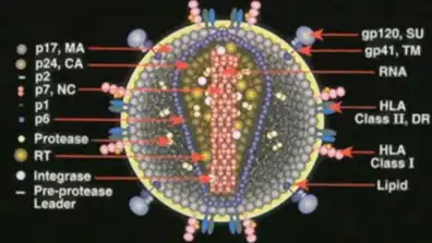 Watch and Download Deconstructing the Myth of Aids 1