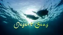 Watch and Download Desert Seas 2