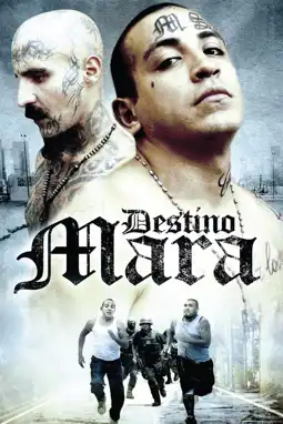 Watch and Download Destino Mara 12