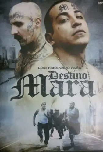 Watch and Download Destino Mara 13