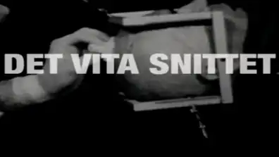 Watch and Download Det Vita Snittet 1