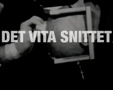 Watch and Download Det Vita Snittet 2