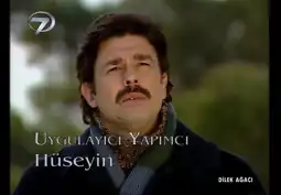 Watch and Download Dilek Ağacı 3