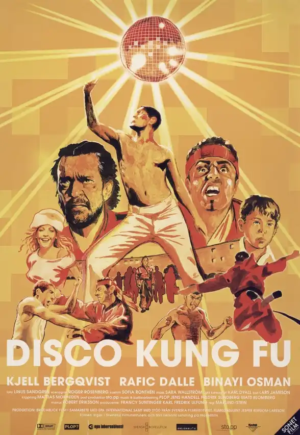 Watch and Download Disco Kung Fu 10