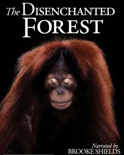 Watch and Download Disenchanted Forest 2