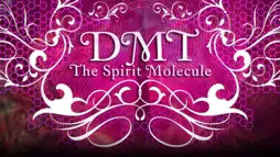 Watch and Download DMT: The Spirit Molecule 2