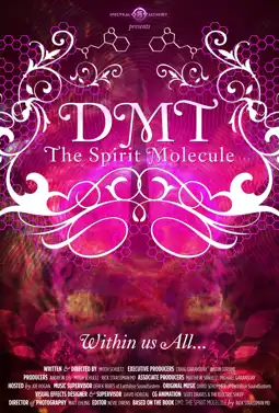 Watch and Download DMT: The Spirit Molecule 3