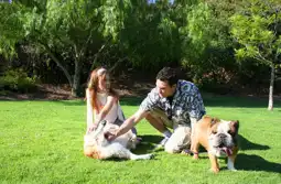 Watch and Download Dog Lovers 6