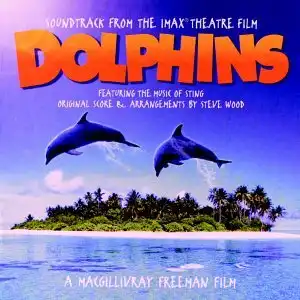 Watch and Download Dolphins 7