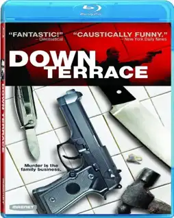 Watch and Download Down Terrace 11