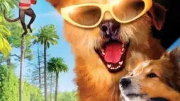 Watch and Download Dr. Dolittle: Million Dollar Mutts 3