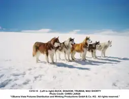 Watch and Download Eight Below 10