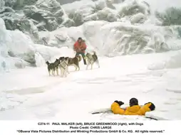 Watch and Download Eight Below 5