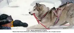 Watch and Download Eight Below 6