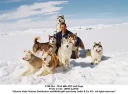 Watch and Download Eight Below 7