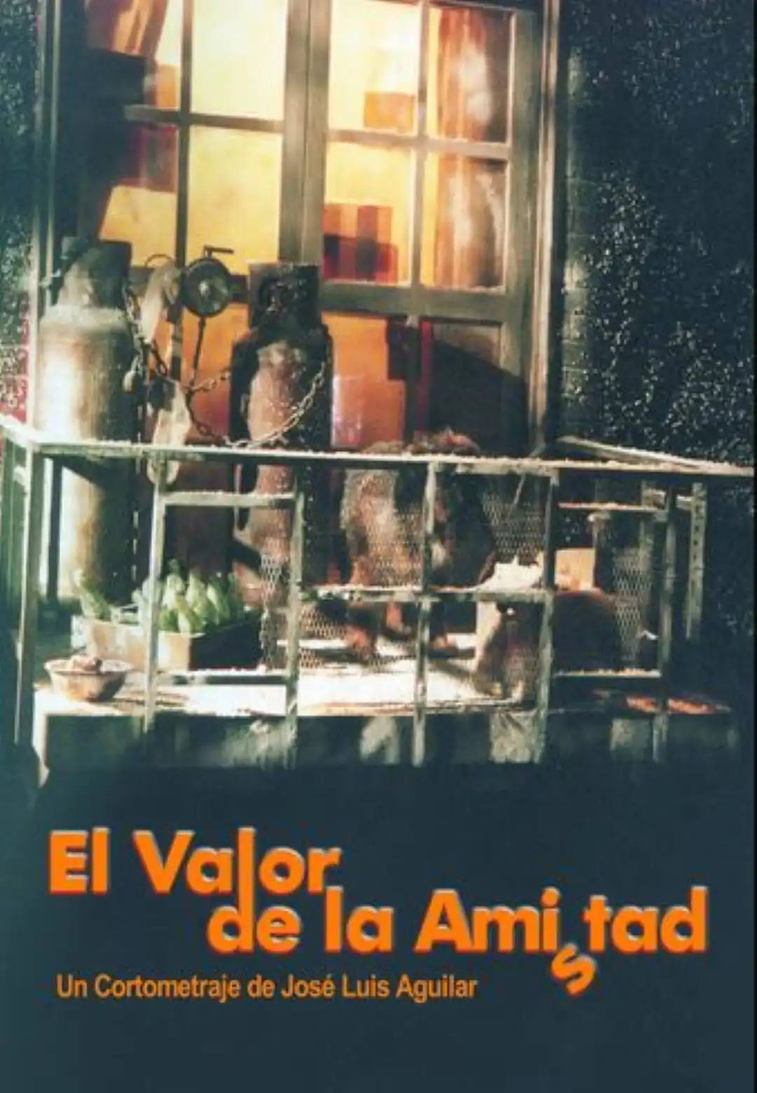 Watch and Download El valor de la amistad 1