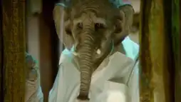 Watch and Download Elefante 1