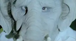 Watch and Download Elefante 4