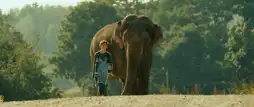 Watch and Download Elephant 2