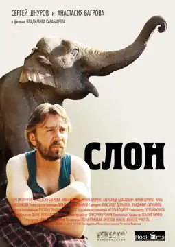 Watch and Download Elephant 6