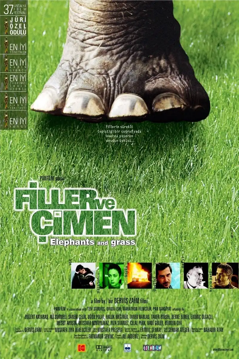 Watch and Download Elephants and Grass