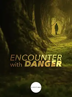 Watch and Download Encounter with Danger 2