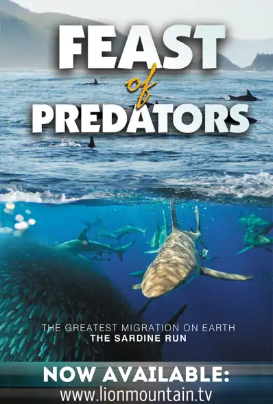 Watch and Download Feast of Predators 10